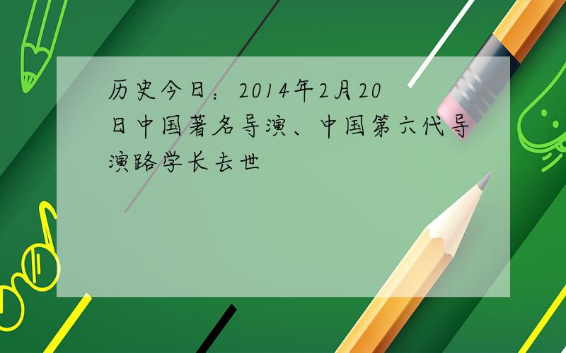 历史今日：2014年2月20日中国著名导演、中国第六代导演路学长去世