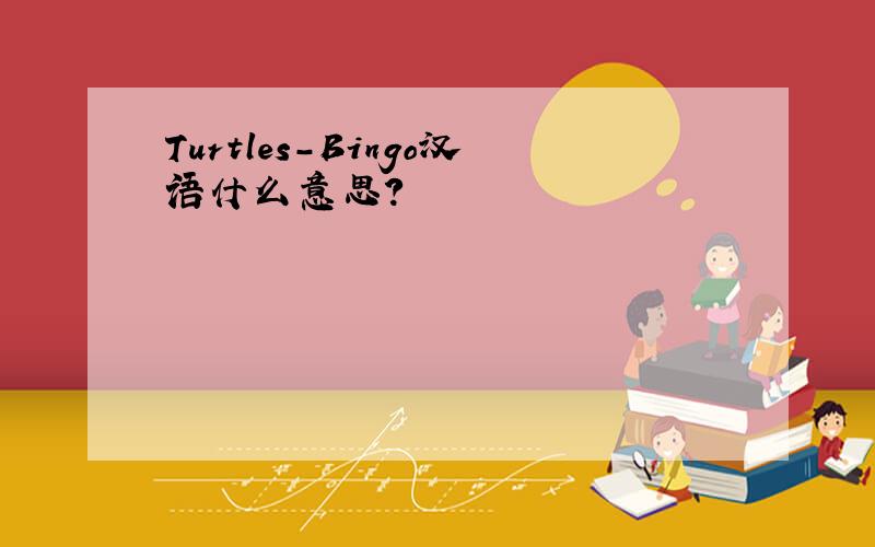 Turtles-Bingo汉语什么意思?