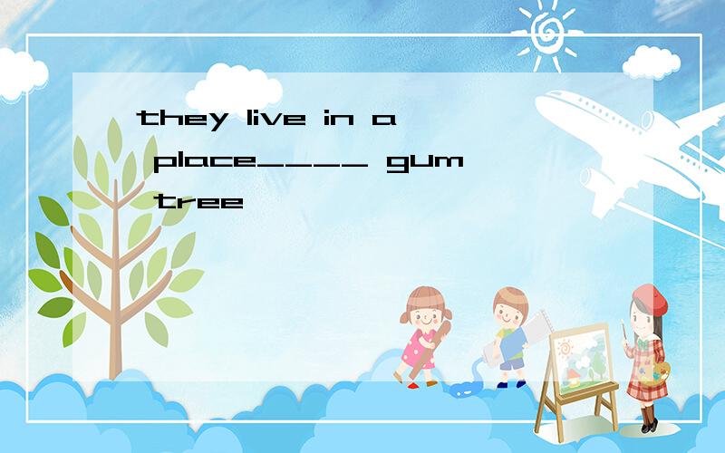 they live in a place____ gum tree