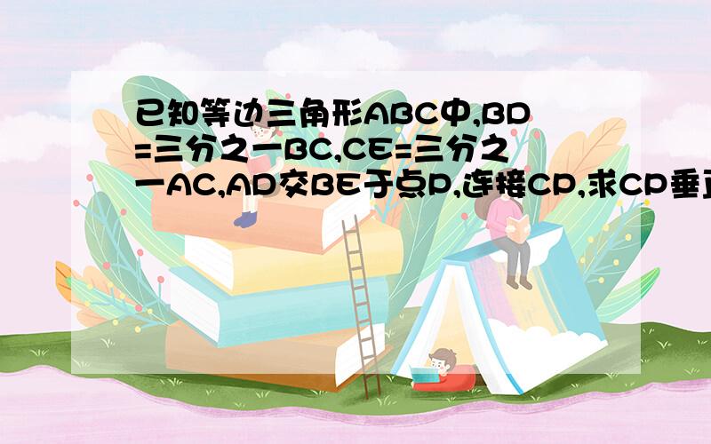 已知等边三角形ABC中,BD=三分之一BC,CE=三分之一AC,AD交BE于点P,连接CP,求CP垂直AD