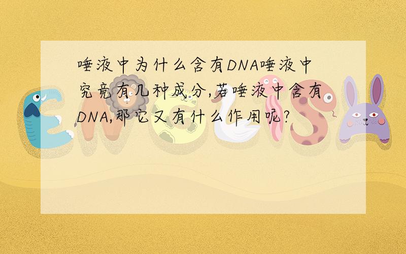 唾液中为什么含有DNA唾液中究竟有几种成分,若唾液中含有DNA,那它又有什么作用呢?