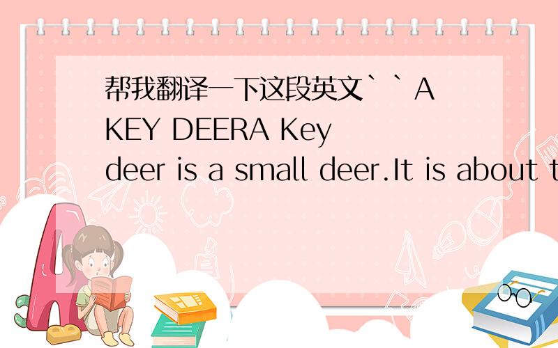 帮我翻译一下这段英文``A KEY DEERA Key deer is a small deer.It is about the size of a large dog.Sometimes it is called a 