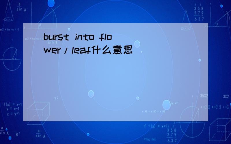 burst into flower/leaf什么意思