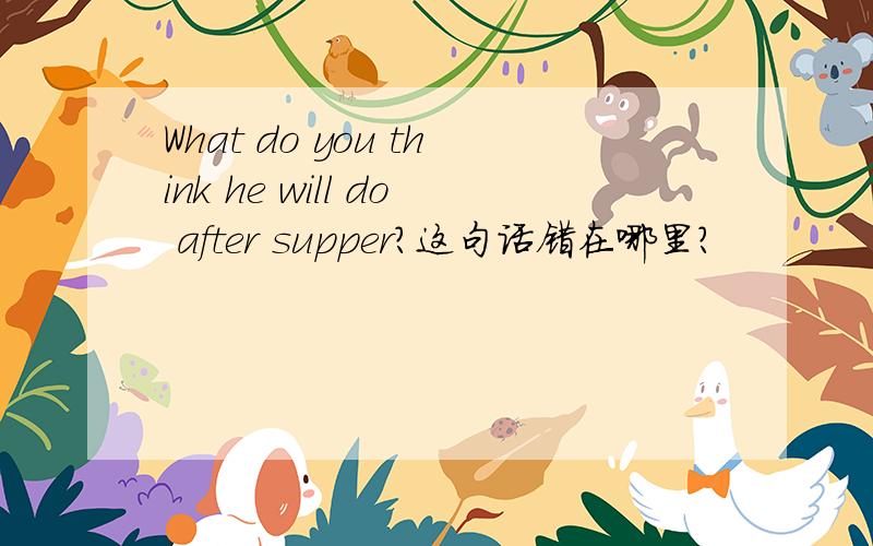 What do you think he will do after supper?这句话错在哪里?