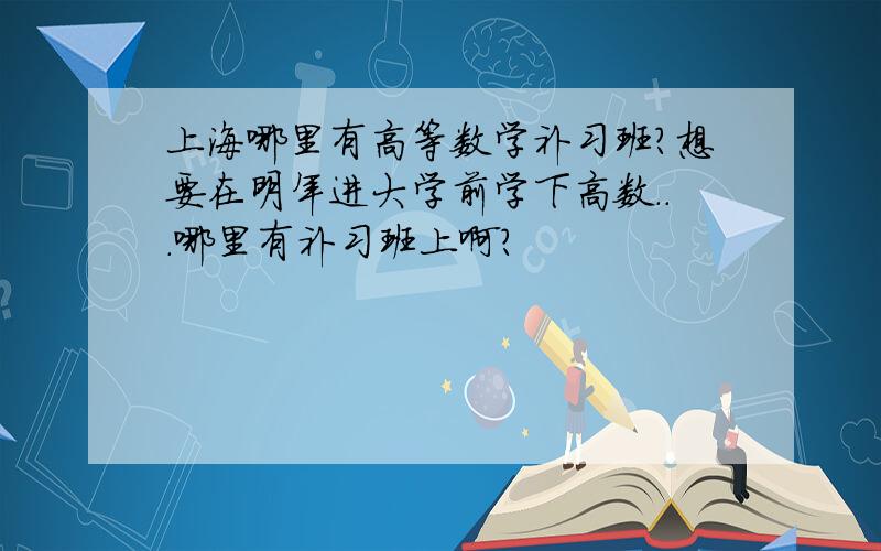 上海哪里有高等数学补习班?想要在明年进大学前学下高数...哪里有补习班上啊?