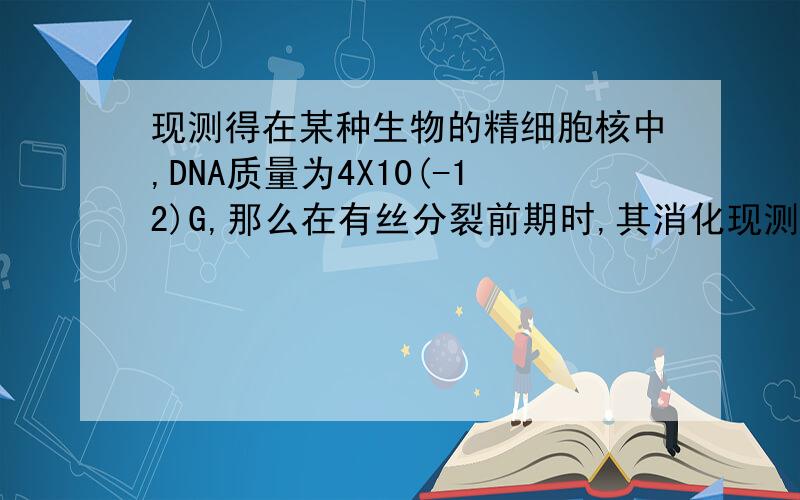 现测得在某种生物的精细胞核中,DNA质量为4X10(-12)G,那么在有丝分裂前期时,其消化现测得在某种生物的精细胞核中,DNA质量为4X10(-12)G,那么在有丝分裂前期时,其消化道上皮细胞核中DNA的质量为A