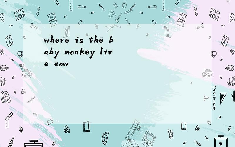 where is the baby monkey live now