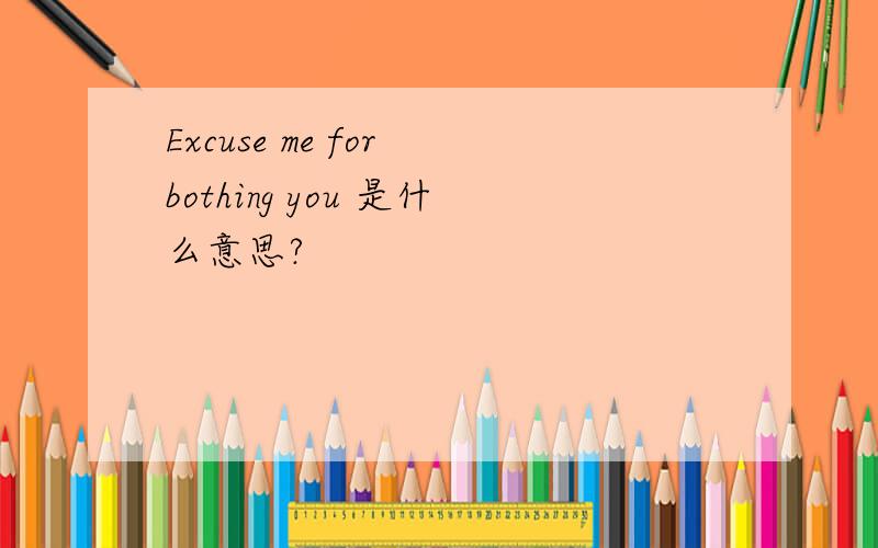 Excuse me for bothing you 是什么意思?