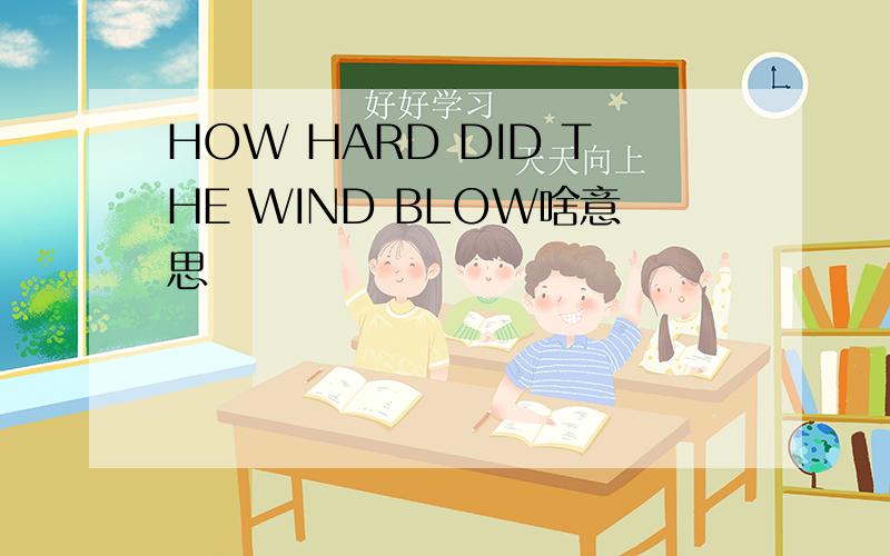 HOW HARD DID THE WIND BLOW啥意思