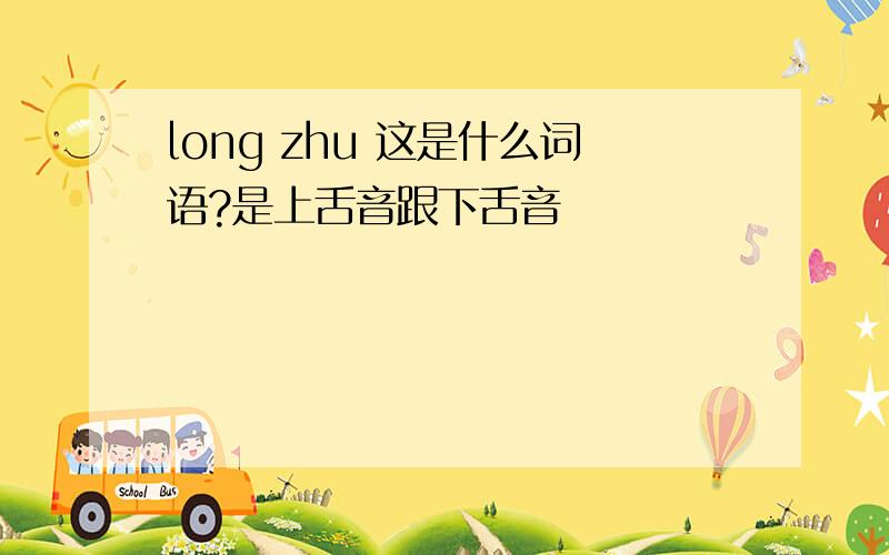 long zhu 这是什么词语?是上舌音跟下舌音
