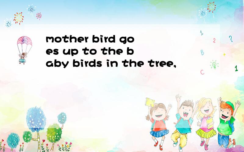 mother bird goes up to the baby birds in the tree,