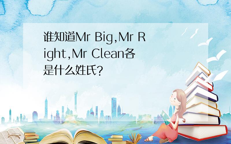 谁知道Mr Big,Mr Right,Mr Clean各是什么姓氏?