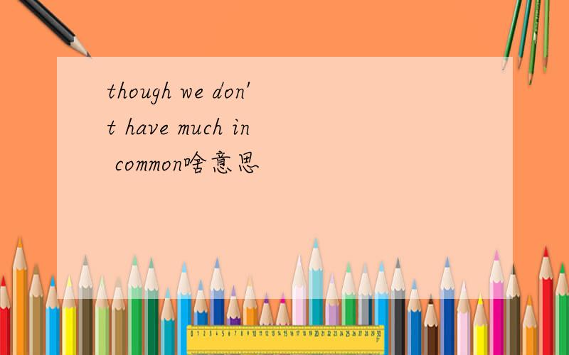though we don't have much in common啥意思