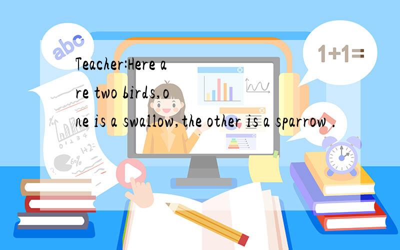 Teacher:Here are two birds,one is a swallow,the other is a sparrow .