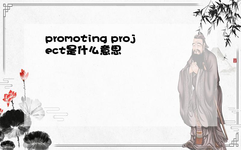 promoting project是什么意思
