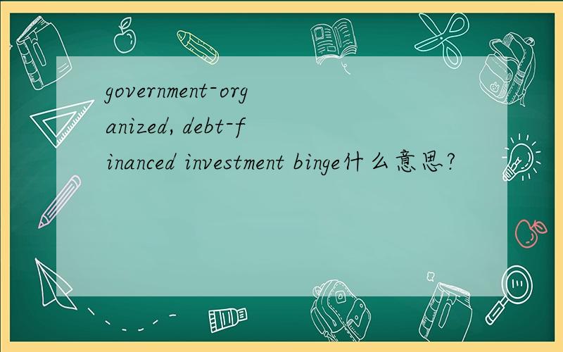 government-organized, debt-financed investment binge什么意思?