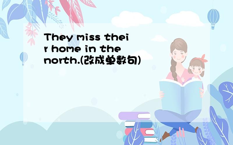 They miss their home in the north.(改成单数句)