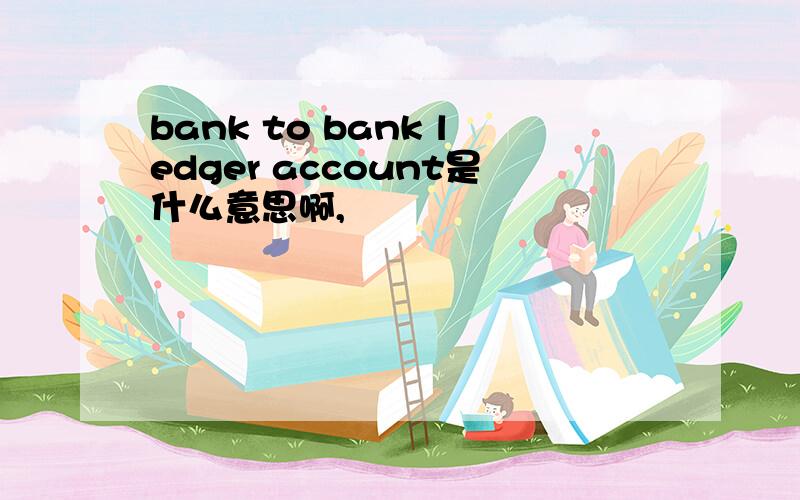 bank to bank ledger account是什么意思啊,