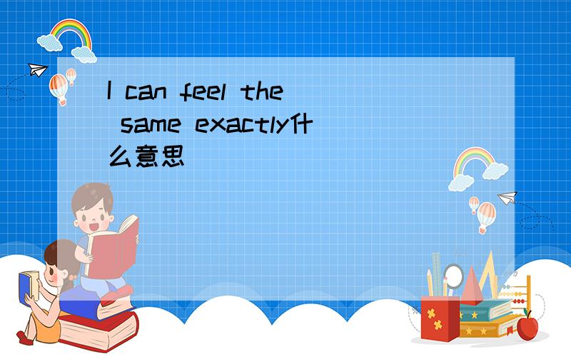I can feel the same exactly什么意思