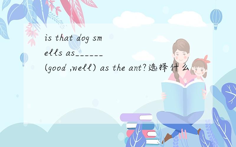 is that dog smells as______ (good ,well) as the ant?选择什么