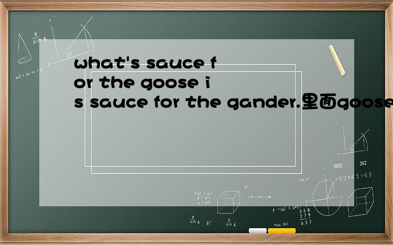 what's sauce for the goose is sauce for the gander.里面goose是什么意思?除了鹅之外还有什么常用的意思?