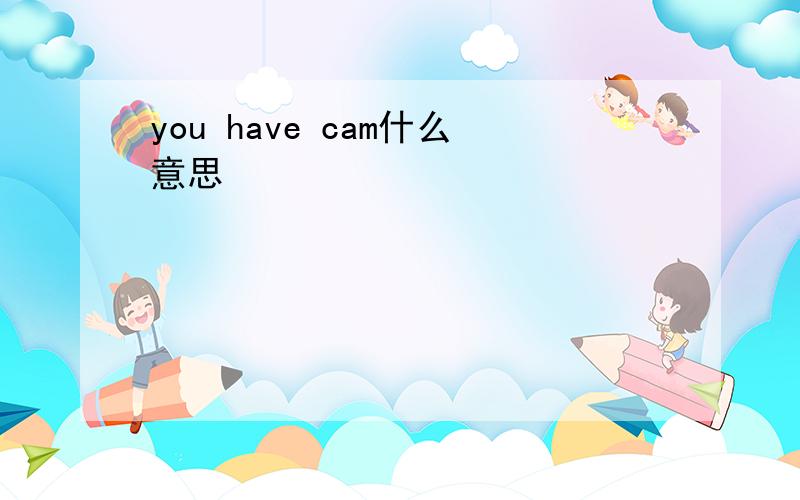 you have cam什么意思