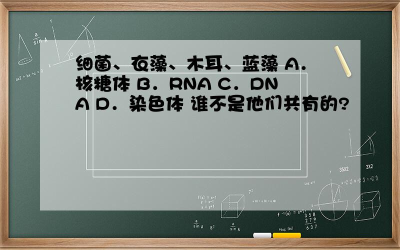 细菌、衣藻、木耳、蓝藻 A．核糖体 B．RNA C．DNA D．染色体 谁不是他们共有的?