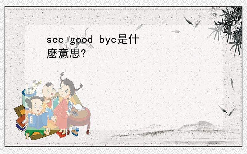 see good bye是什麼意思?