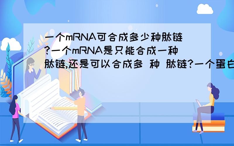 一个mRNA可合成多少种肽链?一个mRNA是只能合成一种肽链,还是可以合成多 种 肽链?一个蛋白质中各条肽链并不相同,只有一个mRNA能合成一个蛋白质吗?还是必须每一条不同的肽链都需要不同的mRN