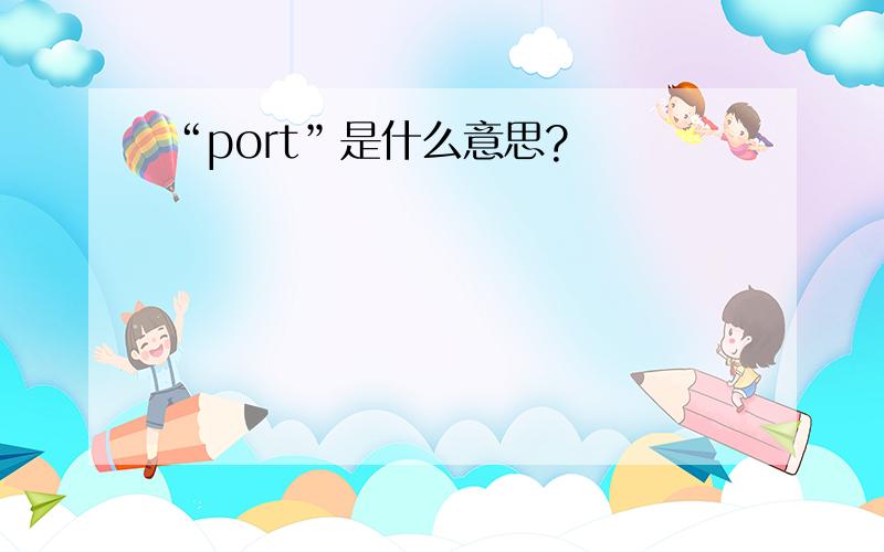 “port”是什么意思?