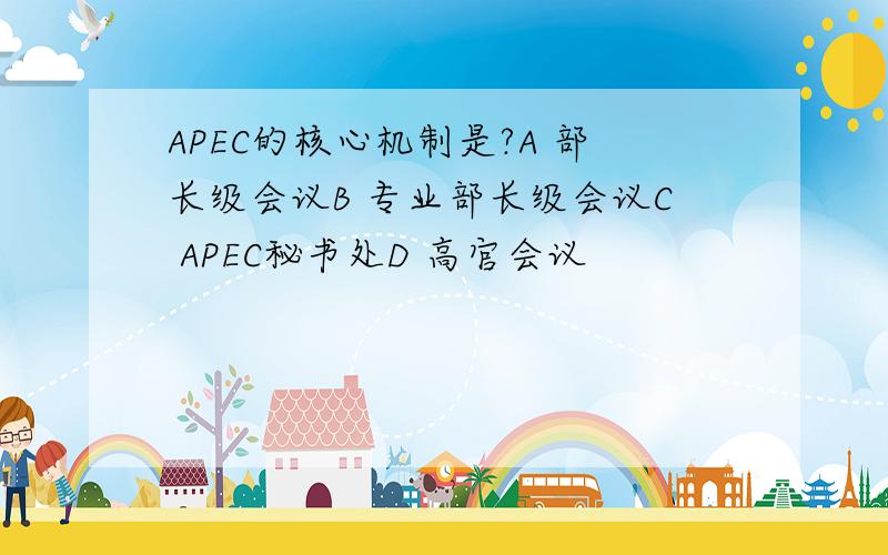 APEC的核心机制是?A 部长级会议B 专业部长级会议C APEC秘书处D 高官会议