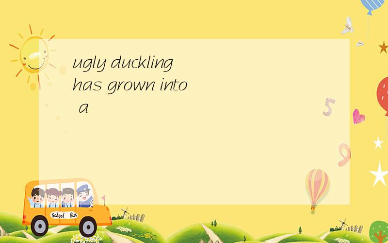 ugly duckling has grown into a