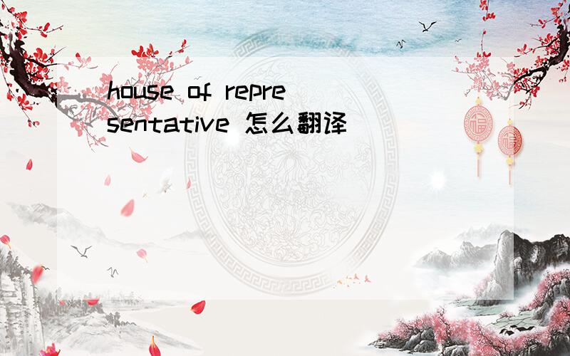 house of representative 怎么翻译