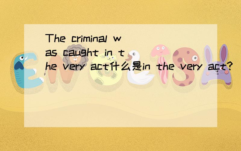 The criminal was caught in the very act什么是in the very act?