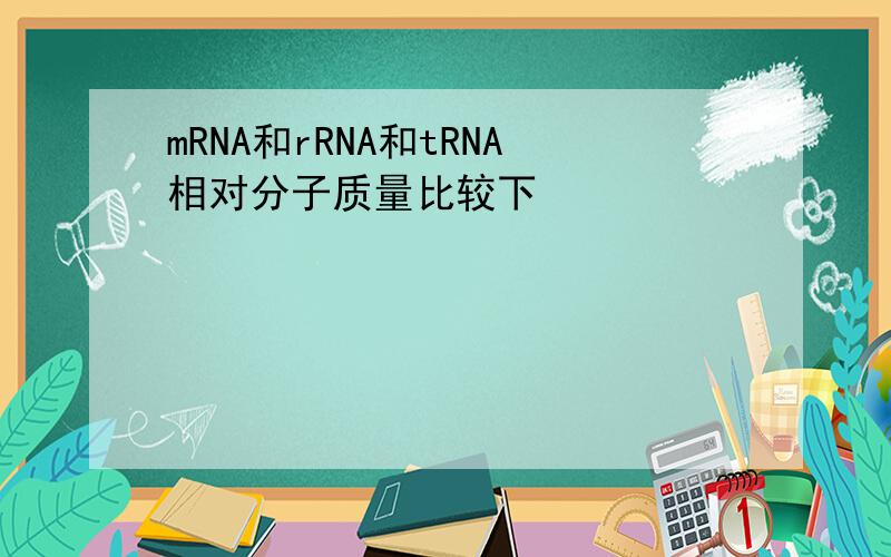mRNA和rRNA和tRNA相对分子质量比较下