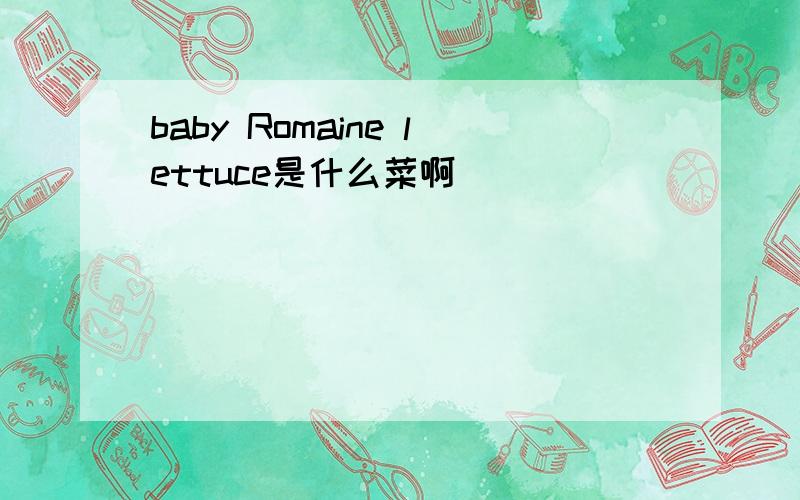 baby Romaine lettuce是什么菜啊