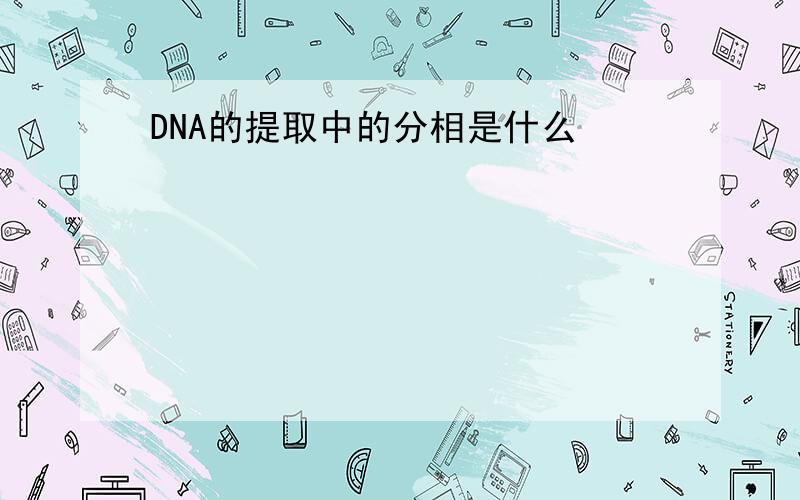 DNA的提取中的分相是什么