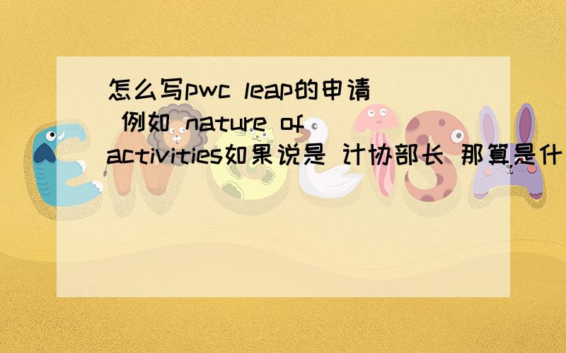 怎么写pwc leap的申请 例如 nature of activities如果说是 计协部长 那算是什么性质呀