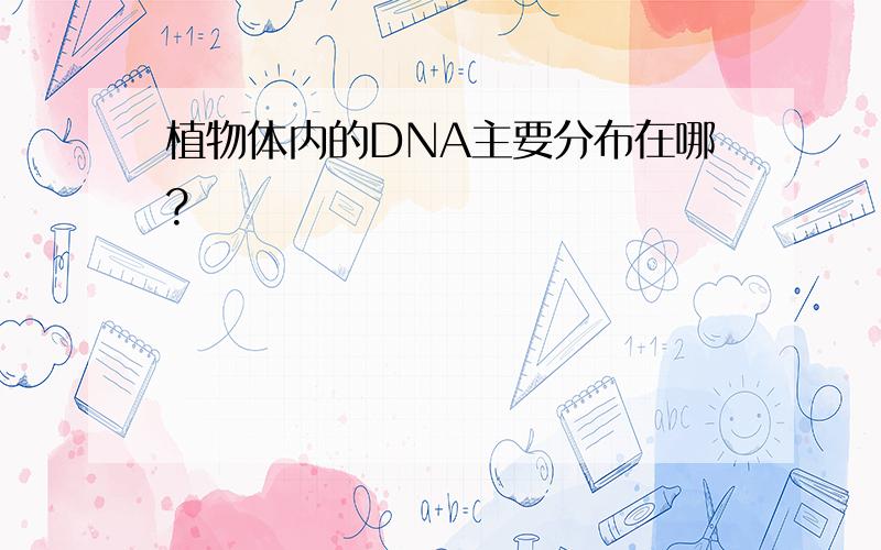 植物体内的DNA主要分布在哪?