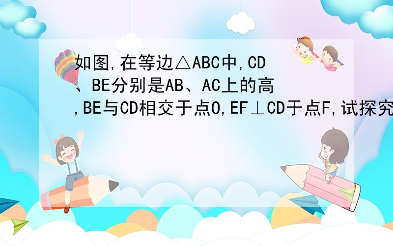 如图,在等边△ABC中,CD、BE分别是AB、AC上的高,BE与CD相交于点O,EF⊥CD于点F,试探究OF与OC的关系.