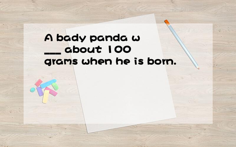A bady panda w___ about 100 grams when he is born.
