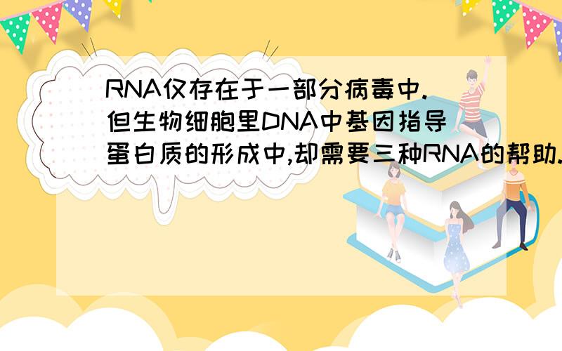 RNA仅存在于一部分病毒中.但生物细胞里DNA中基因指导蛋白质的形成中,却需要三种RNA的帮助.这说明每个细胞里都存在RNA吗?这不是与RNA仅存在于病毒这个理论相互矛盾吗?