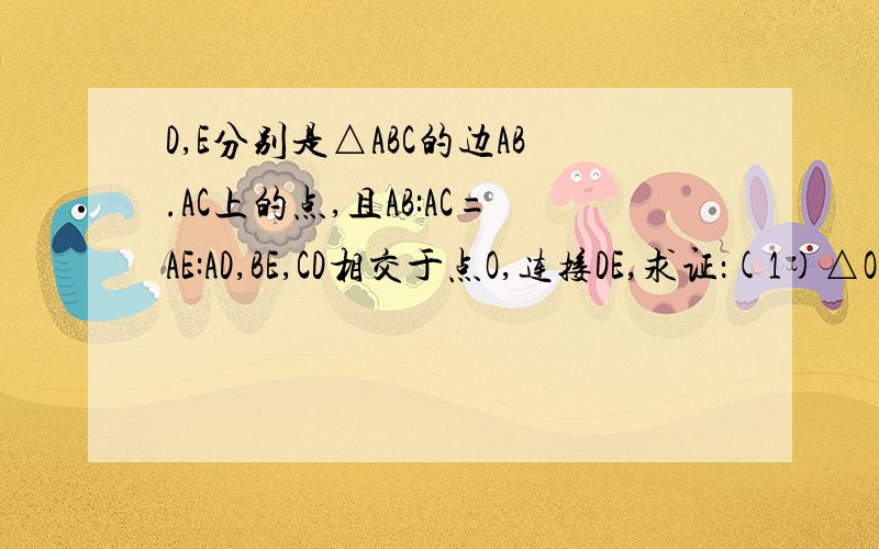 D,E分别是△ABC的边AB.AC上的点,且AB:AC=AE:AD,BE,CD相交于点O,连接DE,求证：(1)△ODB~△OEC(2)△OBC与△ODE一定相似吗