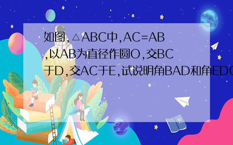如图,△ABC中,AC=AB,以AB为直径作圆O,交BC于D,交AC于E,试说明角BAD和角EDC之间的数量关系.求详解如图,△ABC中,AC=AB,以AB为直径作圆O,交BC于D,交AC于E,试说明角BAD和角EDC之间的数量关系.求