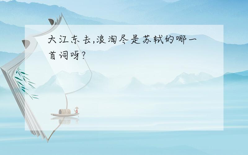大江东去,浪淘尽是苏轼的哪一首词呀?
