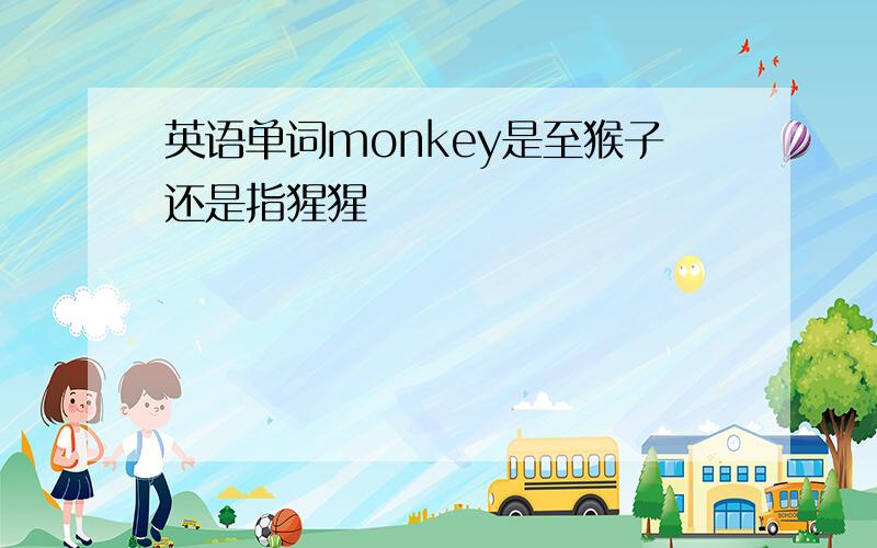 英语单词monkey是至猴子还是指猩猩