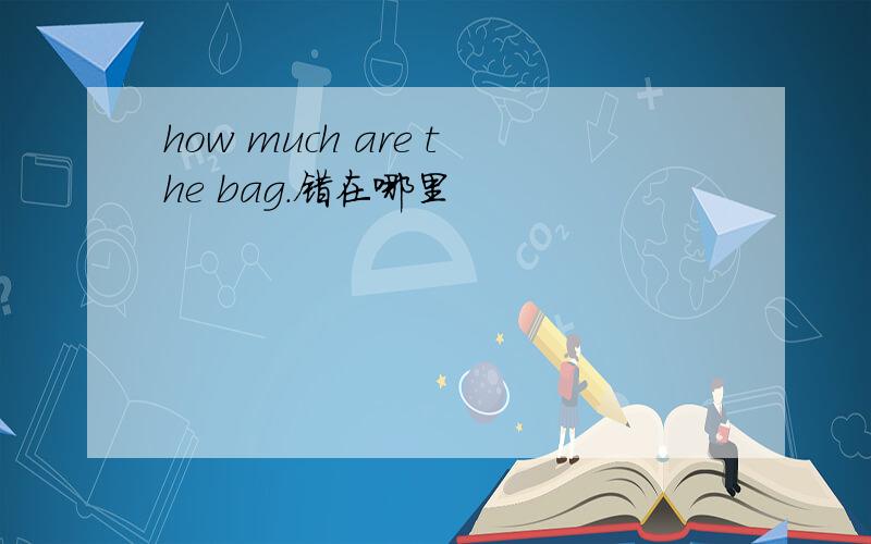 how much are the bag.错在哪里