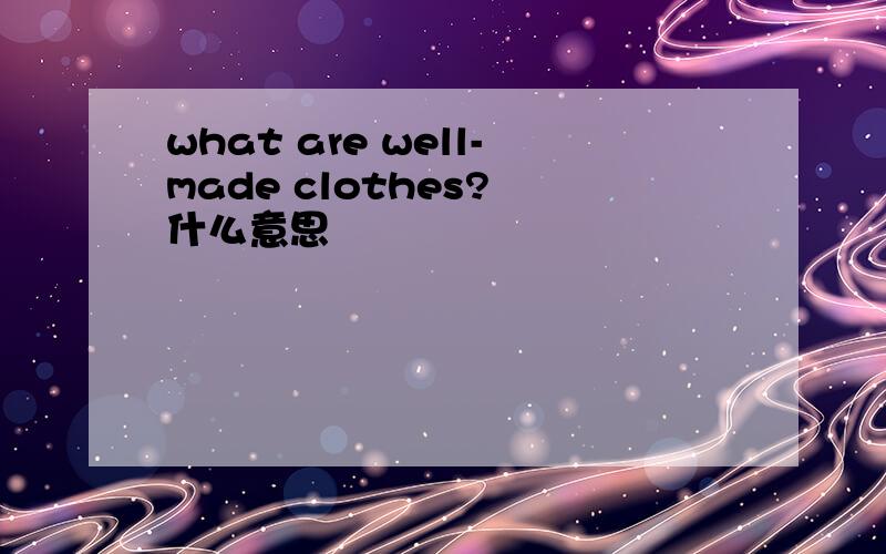 what are well-made clothes? 什么意思