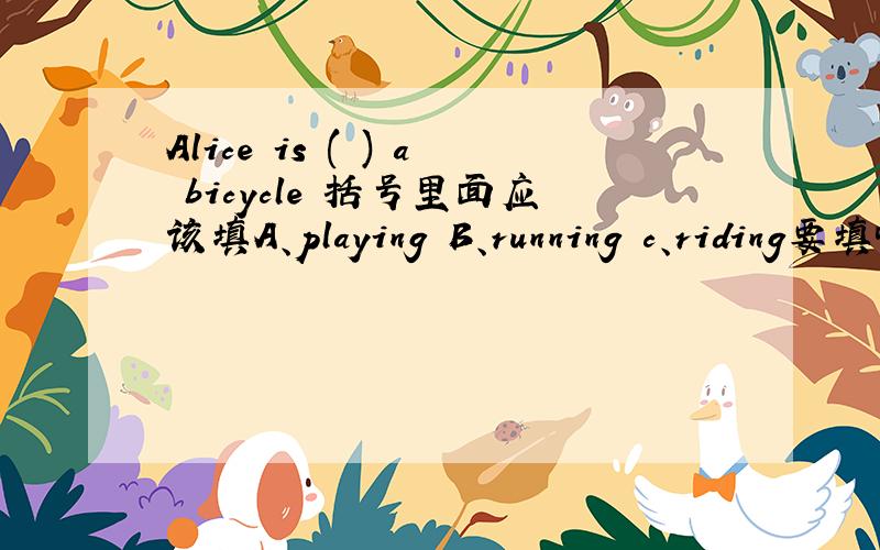 Alice is ( ) a bicycle 括号里面应该填A、playing B、running c、riding要填哪一个呢!请快一点,你们只要填A、B、C,就行了,请快一点,哥哥姐姐弟弟妹妹,我很急,请快一点~~~~~