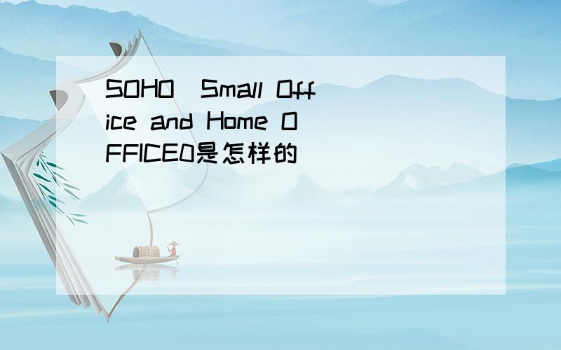 SOHO(Small Office and Home OFFICE0是怎样的